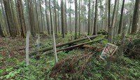 富士宮市に残る「姥捨て伝説」　富士山Walker