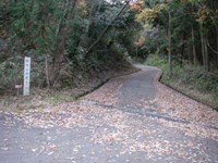 【泉南市】林道 畦の谷線（畦の谷地蔵尊） | 路面と勾配