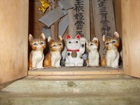 「猫と丑の刻参り 呪いの育霊神社 岡山県新見市」alticのブログ ｜ alticのページ - みんカラ