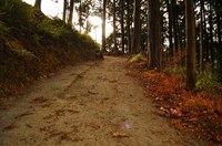 【廃墟探索】埼玉県　廃村Ｔ | 崩壊雑記