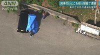 ▼唸声事件現場のストリートビュー／沖縄大宜味村の駐車場より女性遺体、いとこの男逮捕 | 唸声の気になるニュースとストリートビュー