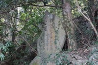 別府三勝！散る桜の仏崎。忘れられた廃公園を眺める