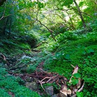 沖縄県本部町の八重岳にある「野戦病院跡」 | 黒しばわんこの戦跡ガイド