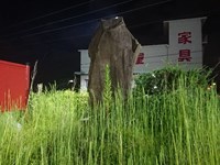 挑燈野 - 雪だるま軍曹の部屋