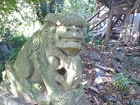 天津小湊の廃神社と狛犬: たなぼた