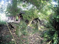 まだ頑張ってます＞廃神社: たなぼた