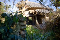 「千葉県鴨川市の大山祇(オオヤマツミ)神社は廃神社なのか」シシィのブログ ｜ 青の中の青 - みんカラ