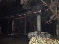 【心霊スポット】牛鬼伝説が伝わるお寺、根香寺。【香川県】 | オカルトラベル