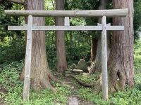 青森県最恐心霊スポット 杉沢村 | コジツケ君がゆく