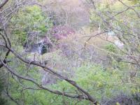 幻の遊園地「サニーランド蛇の島」へ行ってきました！？ | バイクとイカ釣りの日記♪ - 楽天ブログ