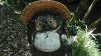 心霊調査記 | 鶏鳴の滝 | 西の禁書目録