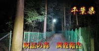 千葉県『呪詛の森』｜奇怪千万