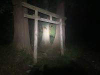 青森県最恐心霊スポット杉沢村 | コジツケ君がゆく