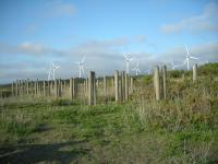 むつ湾インターナショナル・スピードウェイ（むつ観光牧場） - 廃墟検索地図