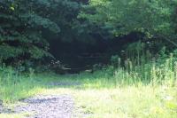 本当に太白山トンネルは心霊スポットなのか？【宮城】