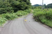 旧桜町トンネルが心霊スポットといわれる理由について【新潟】