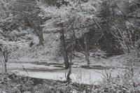 田老鉱山 再訪（その１） | HEYANEKOの棲み家（へき地ブログ）