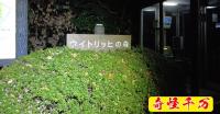 【横浜市心霊スポット】ウィトリッヒの森・99人が焼け死んだ隣の森で、深夜にスーパーカブを攻めた時の記録｜奇怪千万