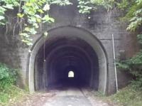 潰れた廃車から… | 新潟心霊スポット探検隊のブログ