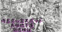 【埼玉県春日部市心霊スポット】『大枝地下道』 105匹の動物が笑う地下で、