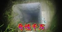 地図にも載らない謎のトンネル─茨城県鉾田市心霊スポット【塔ヶ崎隧道】｜奇怪千万