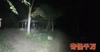 埼玉県上尾市心霊スポット『ふるさとの緑の景観地』における怪異伝承と土地の記憶に関する包括的調査報告書｜奇怪千万