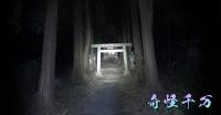 埼玉県所沢市、心霊スポット『桜木神社』および周辺地域における怪異現象と歴史的背景に関する包括的調査報告書｜奇怪千万