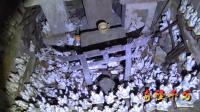 コンコン神社（下飯田稲荷） | 心霊スポット現地調査・都市伝説 | 奇怪千万