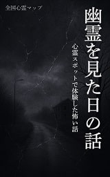 幽霊を見た日の話の表紙