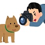 亡くなったペットの写真は飾ってもいい？の画像