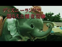 ディズニーランドで起きた恐怖