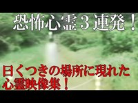 危険！　曰くつきの場所に現れた心霊映像集！