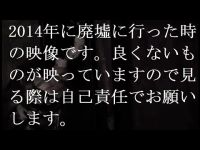 今まで見た心霊映像の中で一番信憑性が高いと思う