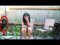 窓がひとりでに動く家