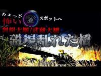 【利根大堰/武蔵大橋】ちょっと怖いスポット巡り～produce by ぞわっTV～の画像