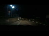 ドライブレコーダーに映った霊の画像