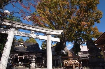 稲積神社