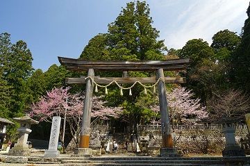 戸隠神社