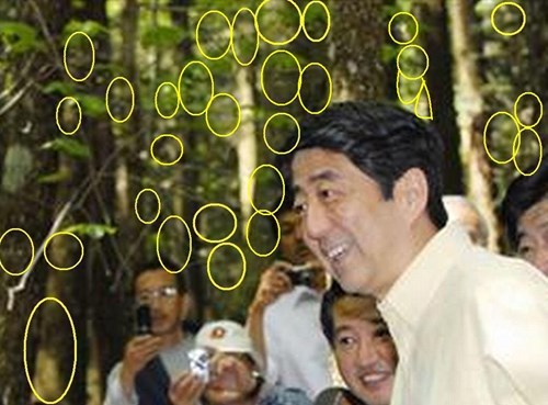 安倍晋三総理　樹海で無数の霊に睨まれる - 心霊写真