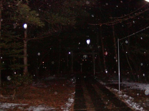 神社の前の夜道での写真