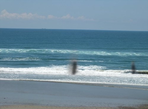 海からのお迎えの写真