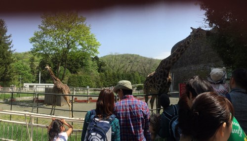 動物園の写真