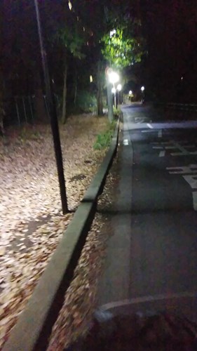 某神社の帰りの入り口の写真