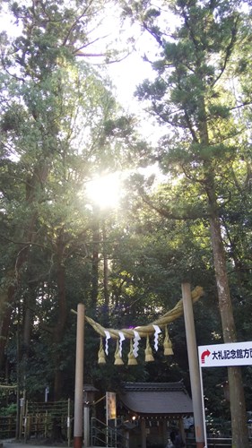 大神神社にての写真