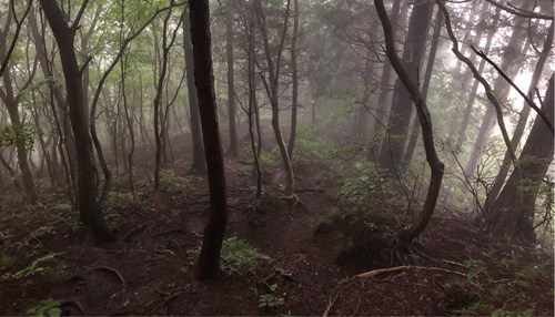 日光市某山中にての写真