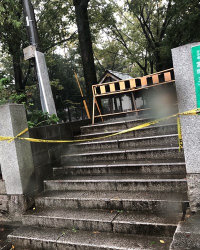 神社の階段の画像