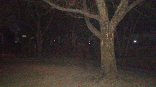 この場所では過去に男女の首吊りがこの公園の木であったの写真