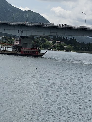 河口湖 - 心霊写真