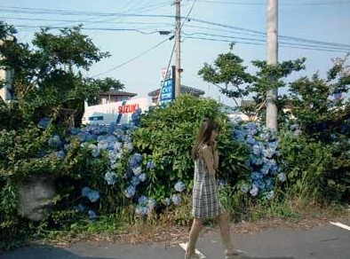 草むらに霊の顔が写る