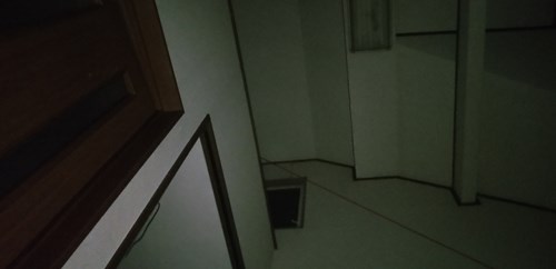 部屋の扉の色が････の写真